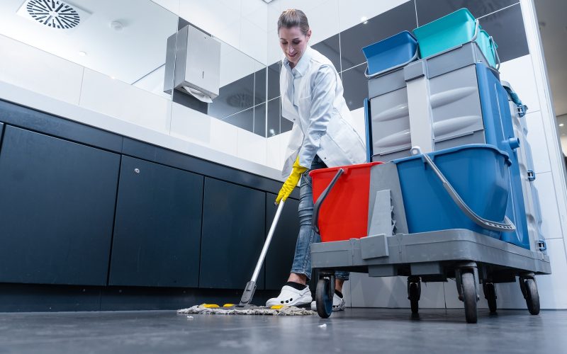 Cleaning,Lady